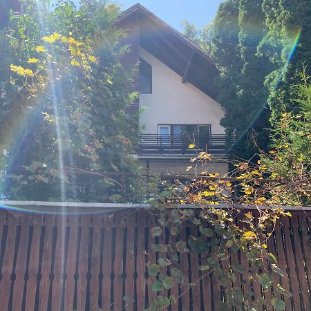 Timi Residence Braszów Zewnętrze zdjęcie