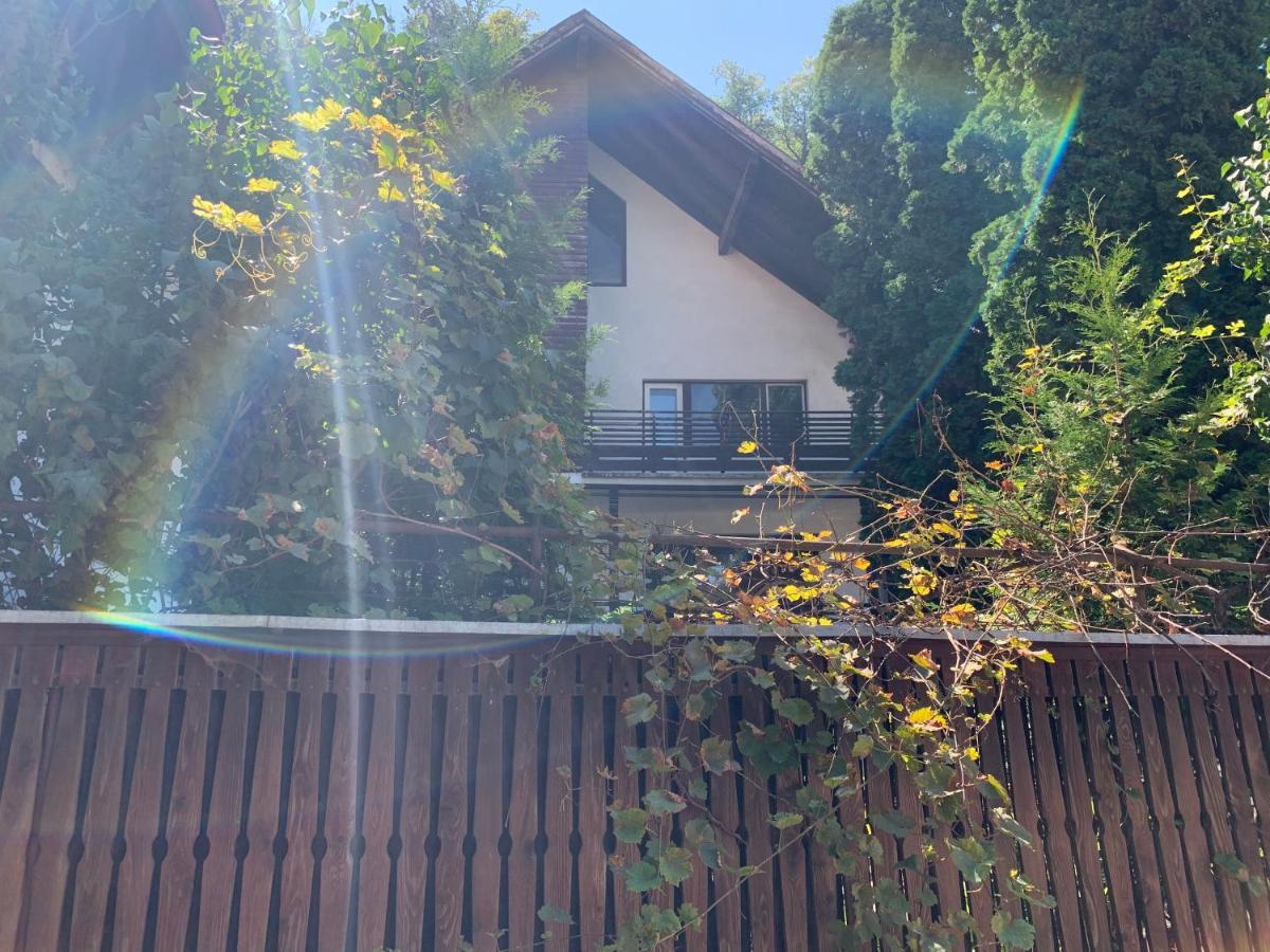 Timi Residence Braszów Zewnętrze zdjęcie