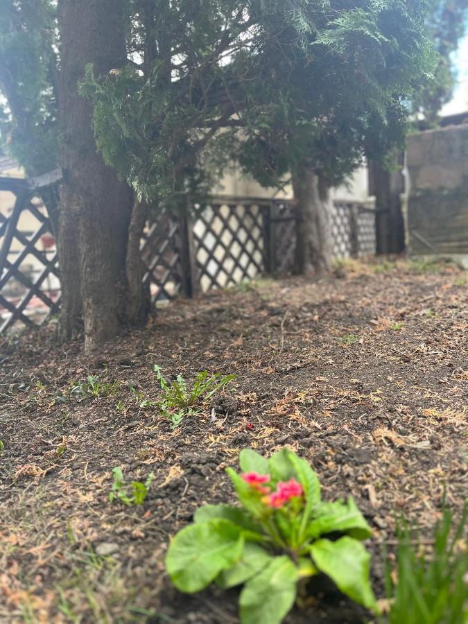 Timi Residence Braszów Zewnętrze zdjęcie